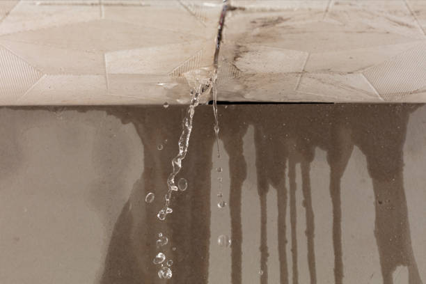 Professional Burst Pipe Cleanup technician working in Ellendale, MN